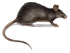 �����